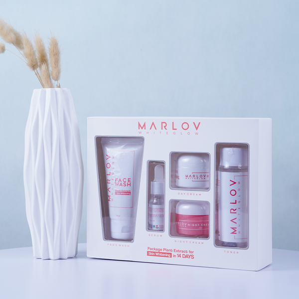Holiday Special Bundle